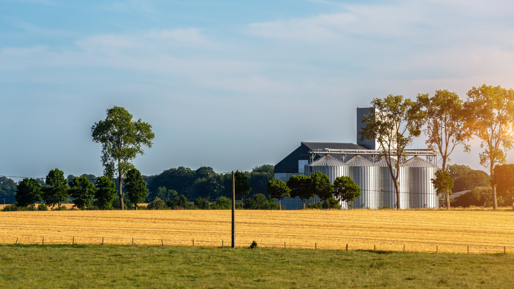 Agri-Food Tech Investments: Unlocking the Potential Beyond Profits